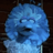 codyish